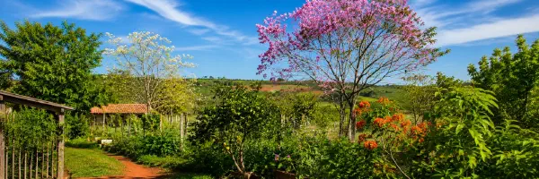Spring in Paraguay: Weather, Nature and Daily Life
